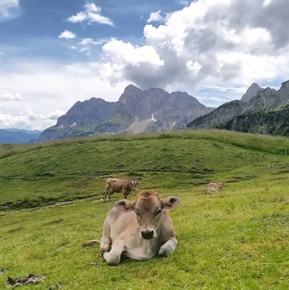 Rifugio Branchino – Cristina