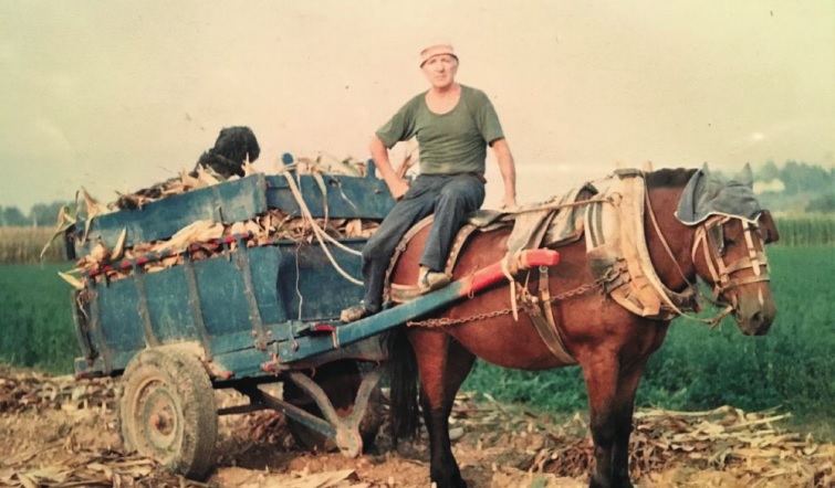 La cascina Quattro Venti a Seriate Piccolo amarcord bergamasco