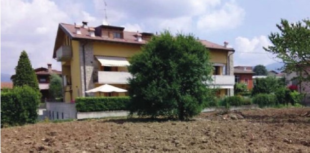 Seriate, Il vivaista e lo studio regalano un parco a via Volta