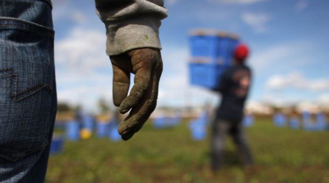 Caporalato, la soluzione è lontana (perché nessuno lo contrasta)