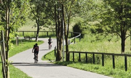 La carica dei 1.300 alberi (in più) E il Parco dei Colli si ingrandisce