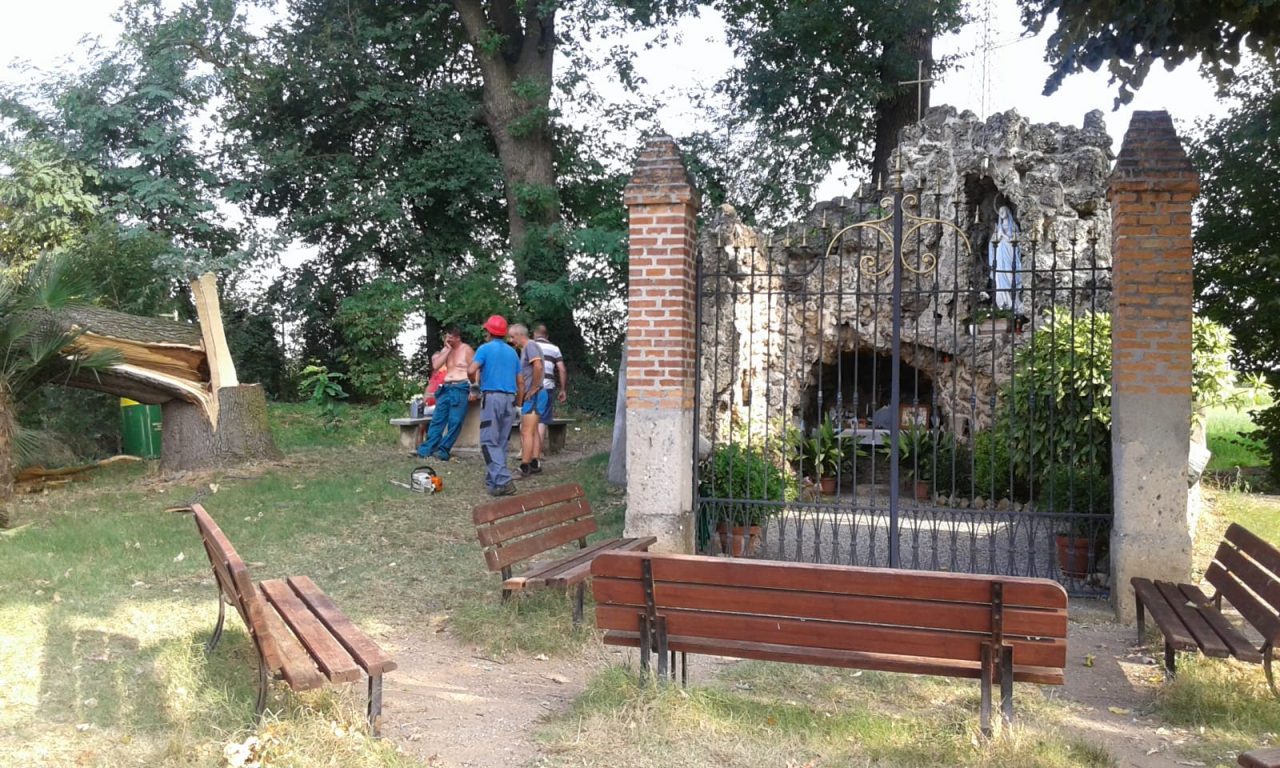 Tagliata la quercia secolare a guardia della grotta di Lourdes