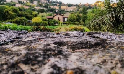 Città Alta e Colli - Carlotta Breno