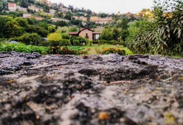 Città Alta e Colli – Carlotta Breno