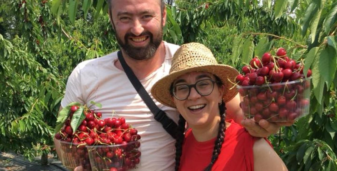 L’azienda Fior di Frutta a Gorle Raccogliamo ciliegie insieme!