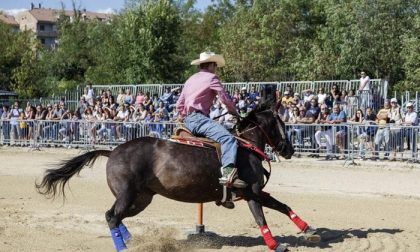 Sant’Alessandro novello cowboy con una mandria da 250 cavalli