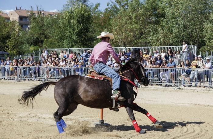 Sant’Alessandro novello cowboy con una mandria da 250 cavalli