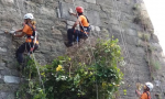 25mila ore di lavoro volontario per pulire le Mura di Bergamo