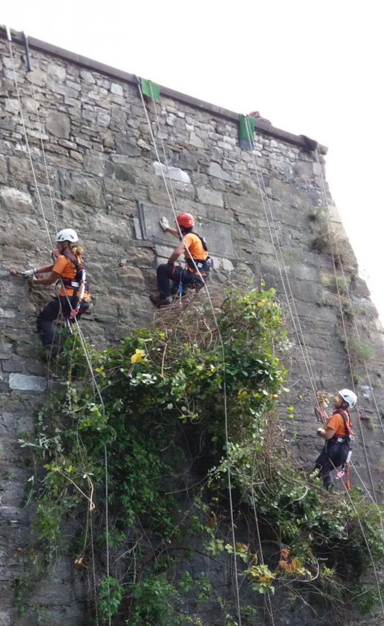 25mila ore di lavoro volontario per pulire le Mura di Bergamo
