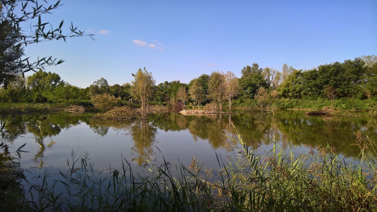 Dalmine, la fragile bellezza dell’oasi e quell’inutile beffa dell’acqua