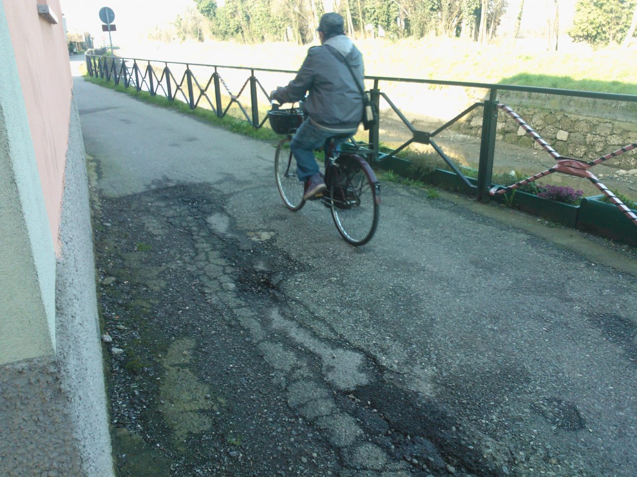 Orrore, un cane affogato da ignoti Nel Naviglio con una pietra al collo