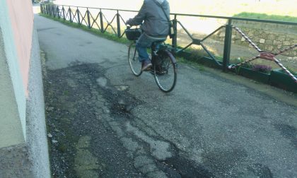 Orrore, un cane affogato da ignoti Nel Naviglio con una pietra al collo