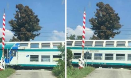 Sbarra alzata, ma passa il treno Parla l’«eroe» dello scuolabus