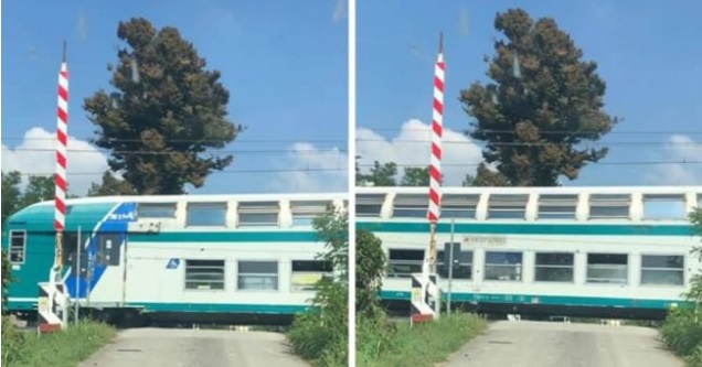 Sbarra alzata, ma passa il treno Parla l’«eroe» dello scuolabus
