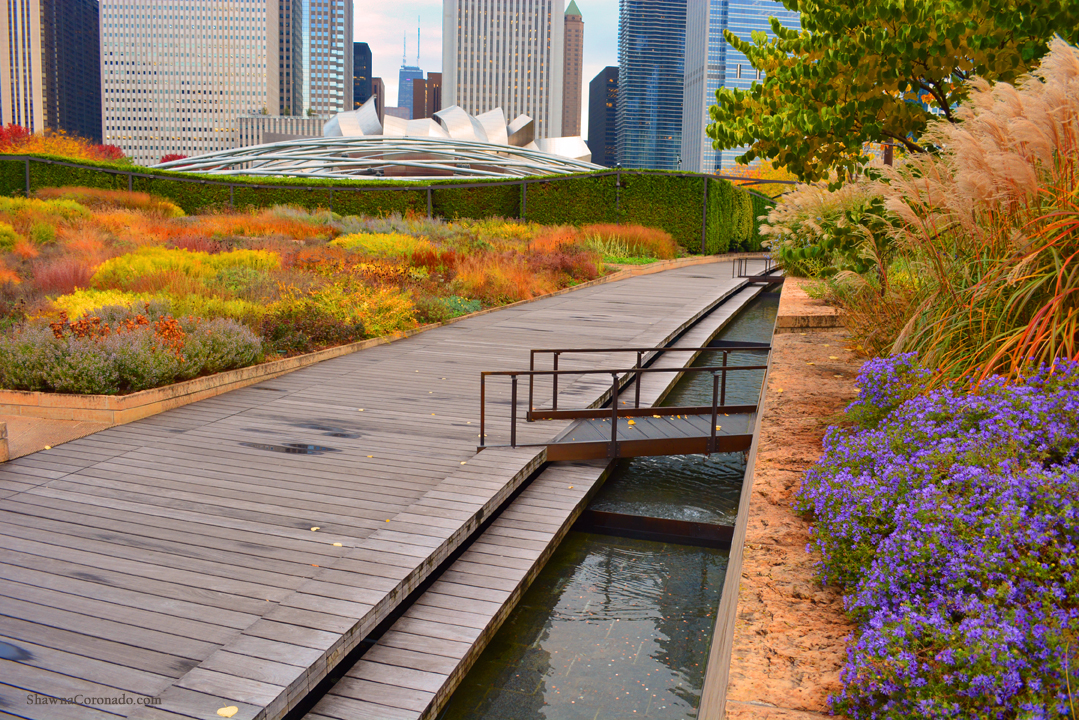 Fall Millennium Park View Lurie Garden © Shawna Coronado copy.jp