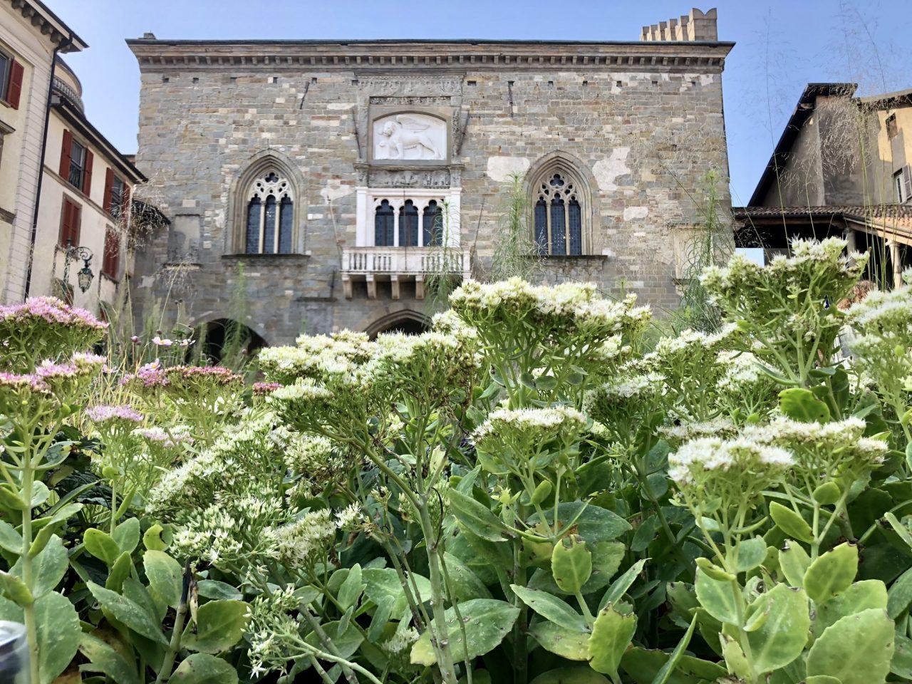 Gli appuntamenti da non perdere nella città ripopolata di verde