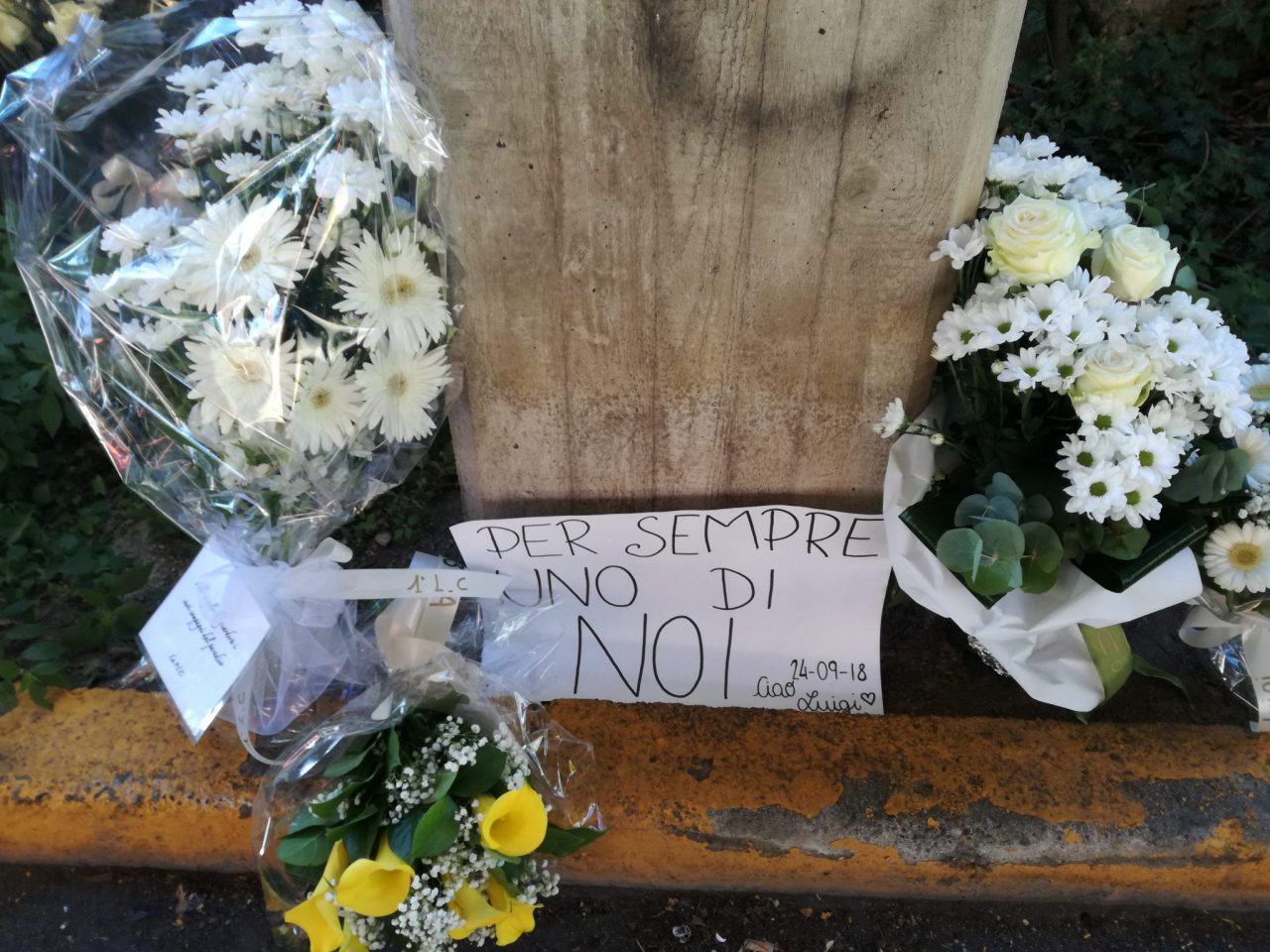 La marcia dei ragazzi per Luigi