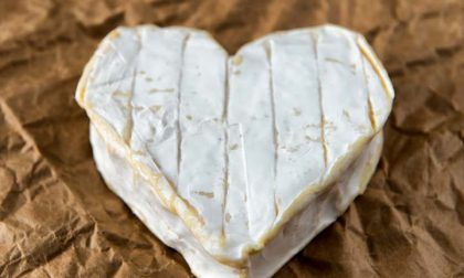 Se amate i formaggi, potete gioire Forse (forse) non fanno così male