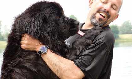 La storia dei cani che salvano vite ha avuto inizio qui, a Seriate