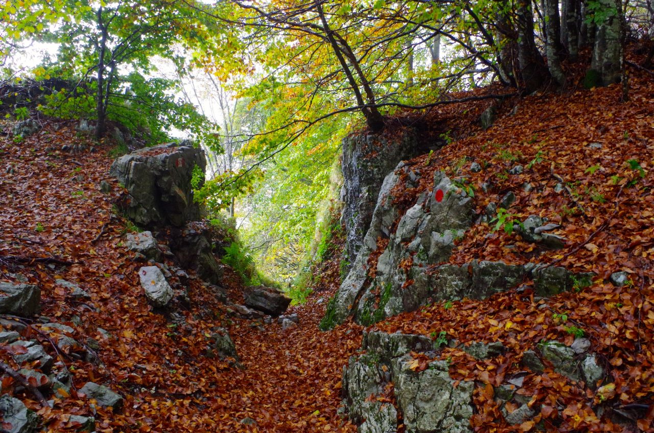 Tre Faggi e Madonna dei Canti I colori d’autunno dei nostri boschi