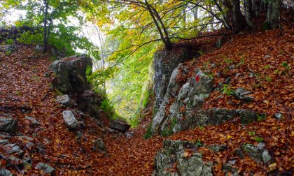 Tre Faggi e Madonna dei Canti I colori d’autunno dei nostri boschi