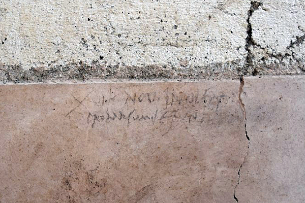 A Pompei era tempo di melograni Un’iscrizione riscrive la storia