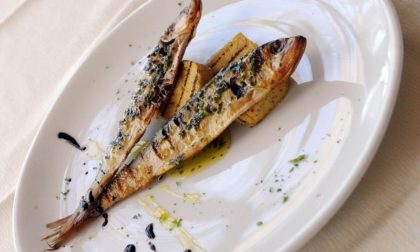 Dai casoncelli a polenta e sardine Si degusta (gratis) con la Provincia