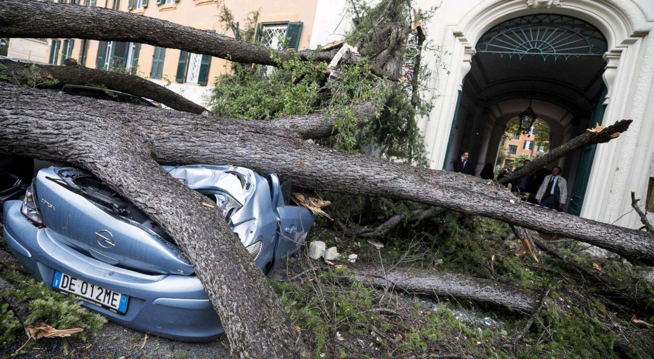 Il giorno della strage degli alberi (ma a Bergamo hanno resistito)