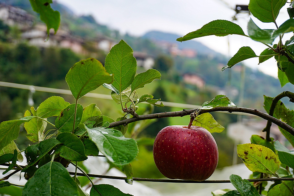 Il weekend nelle valli orobiche #80 Tutti gli eventi da non perdere
