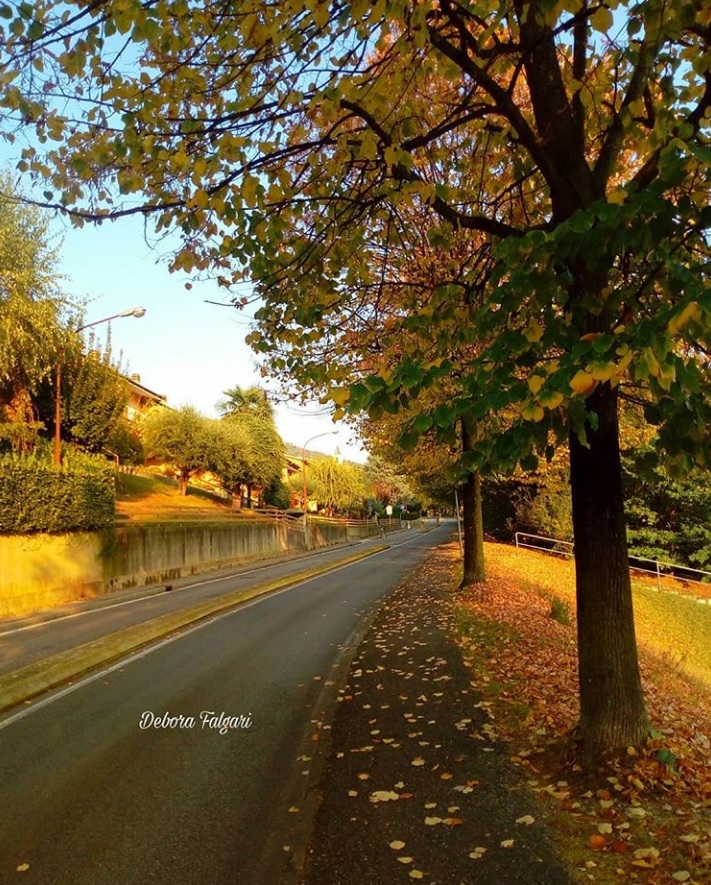 Meraviglie autunnali a Bruntino – Debora Falgari