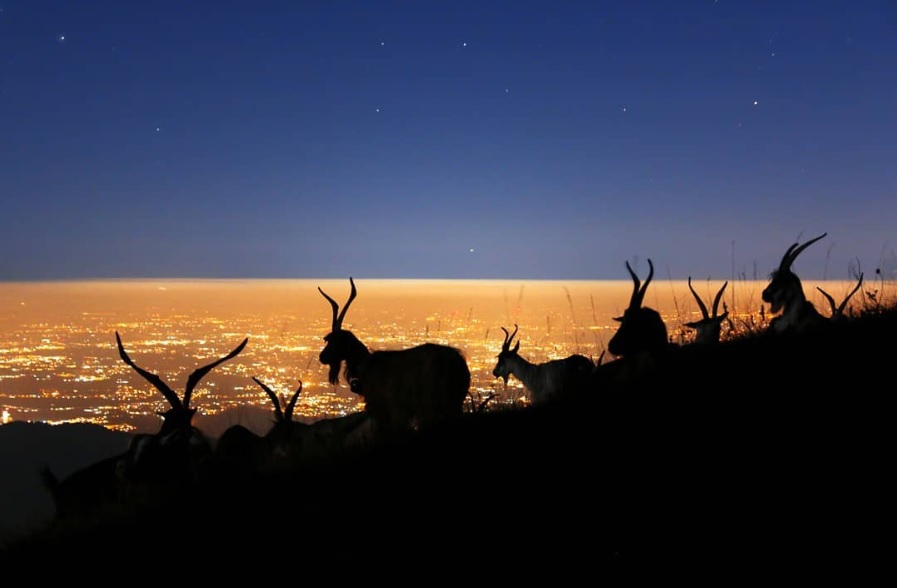 Meraviglia notturna sul Monte Linzone – Irene Facoetti