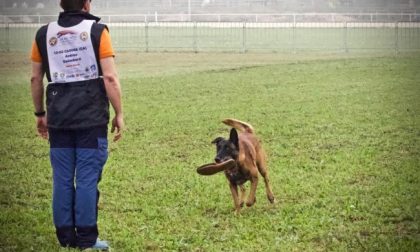 Soccorso «a quattro zampe» Hacker è il migliore d’Italia