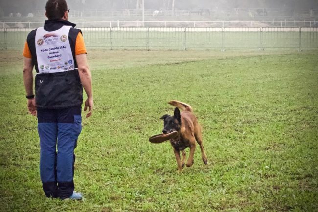 Soccorso «a quattro zampe» Hacker è il migliore d’Italia