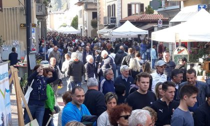 Colori e sapori in Val Brembana In diecimila alla Sagra della Mela