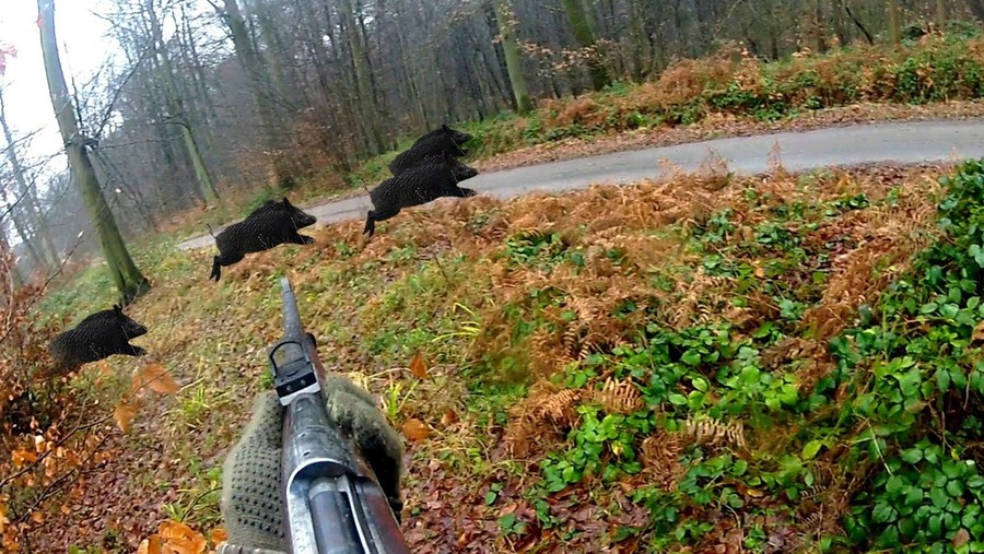 Come si vuole cambiare la caccia