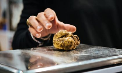 Occasionissima Per Il Tartufo Di Alba Costa Solo 2 100 Euro Al