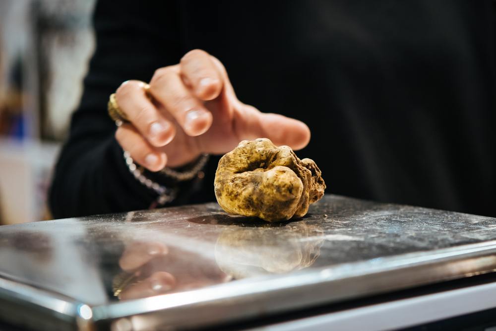 Occasionissima per il tartufo di Alba Costa “solo” 2.100 euro al chilo