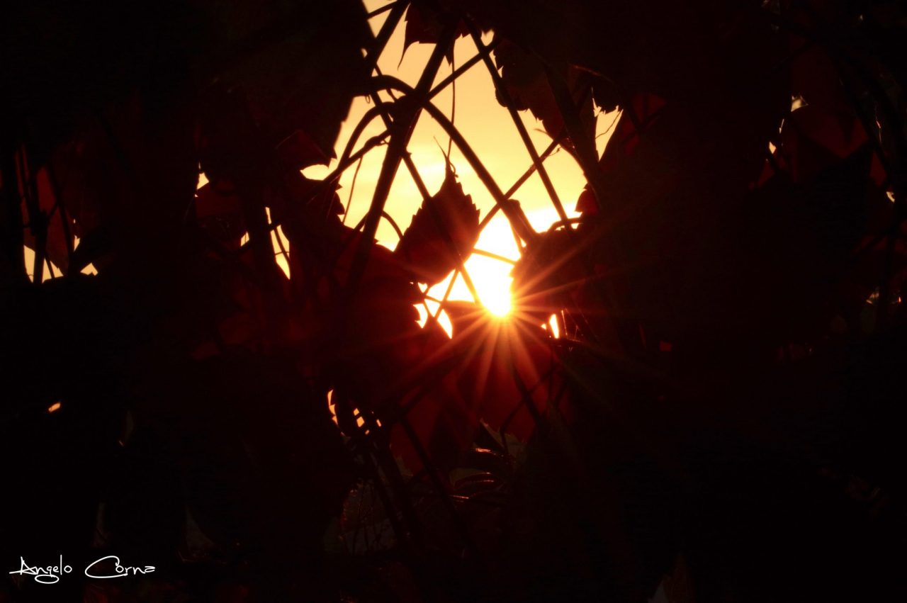 Un raggio di sole al lunedì – Angelo Corna