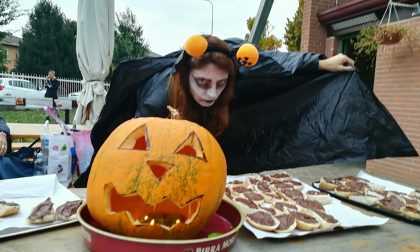 I ladri volevano rovinare la festa Ma anche una sola zucca è bastata