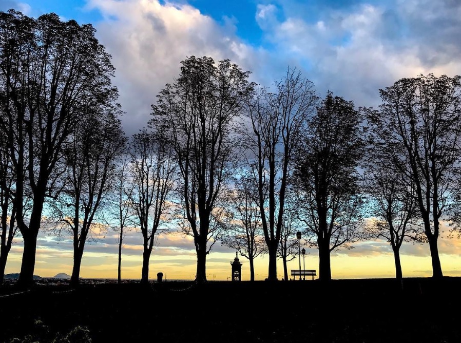 Tagliando l’orizzonte – Silvia Bombardieri