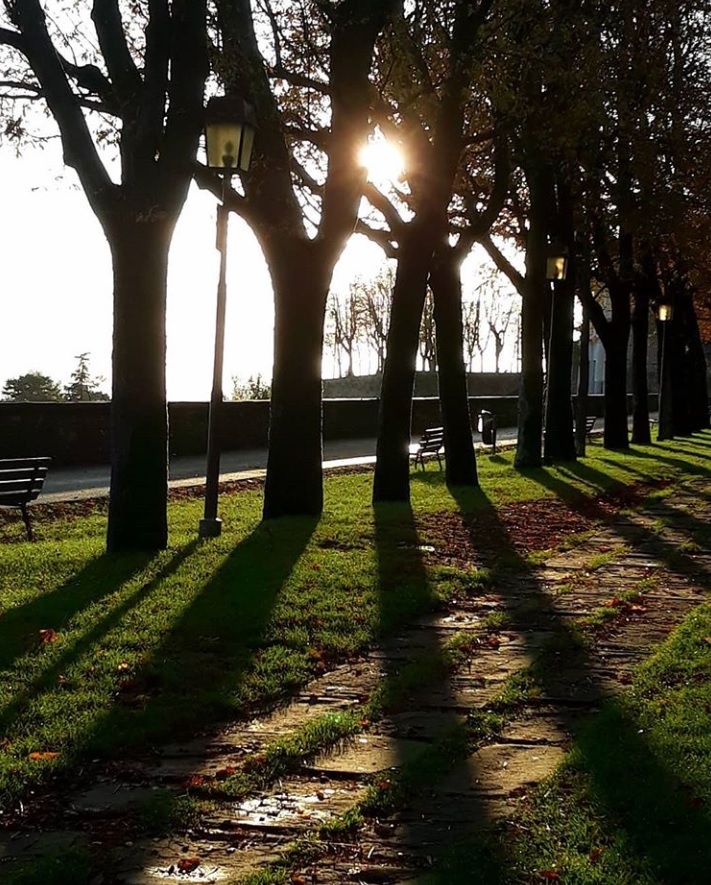 Tra le piante, un raggio di sole – Matteo