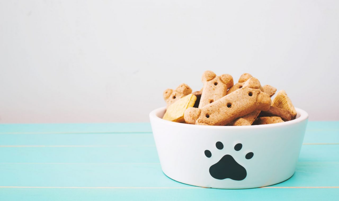 Come scegliere la crocchetta che più si addice al tuo cane?