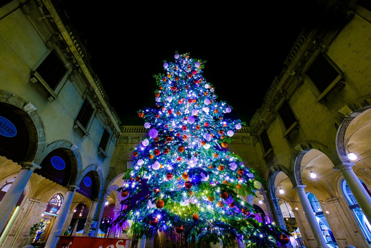 Cosa sognano i politici dalminesi per il 2019 che sta per cominciare