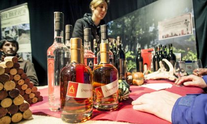 Vite in libertà, vini indipendenti per due giorni dietro le sbarre