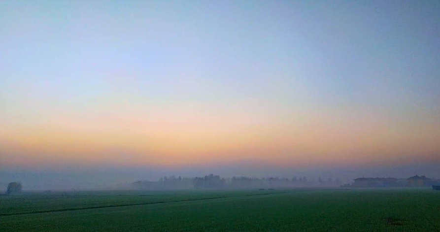 La natura, l’alba e la foschia a Mornico – Daniel Meotti