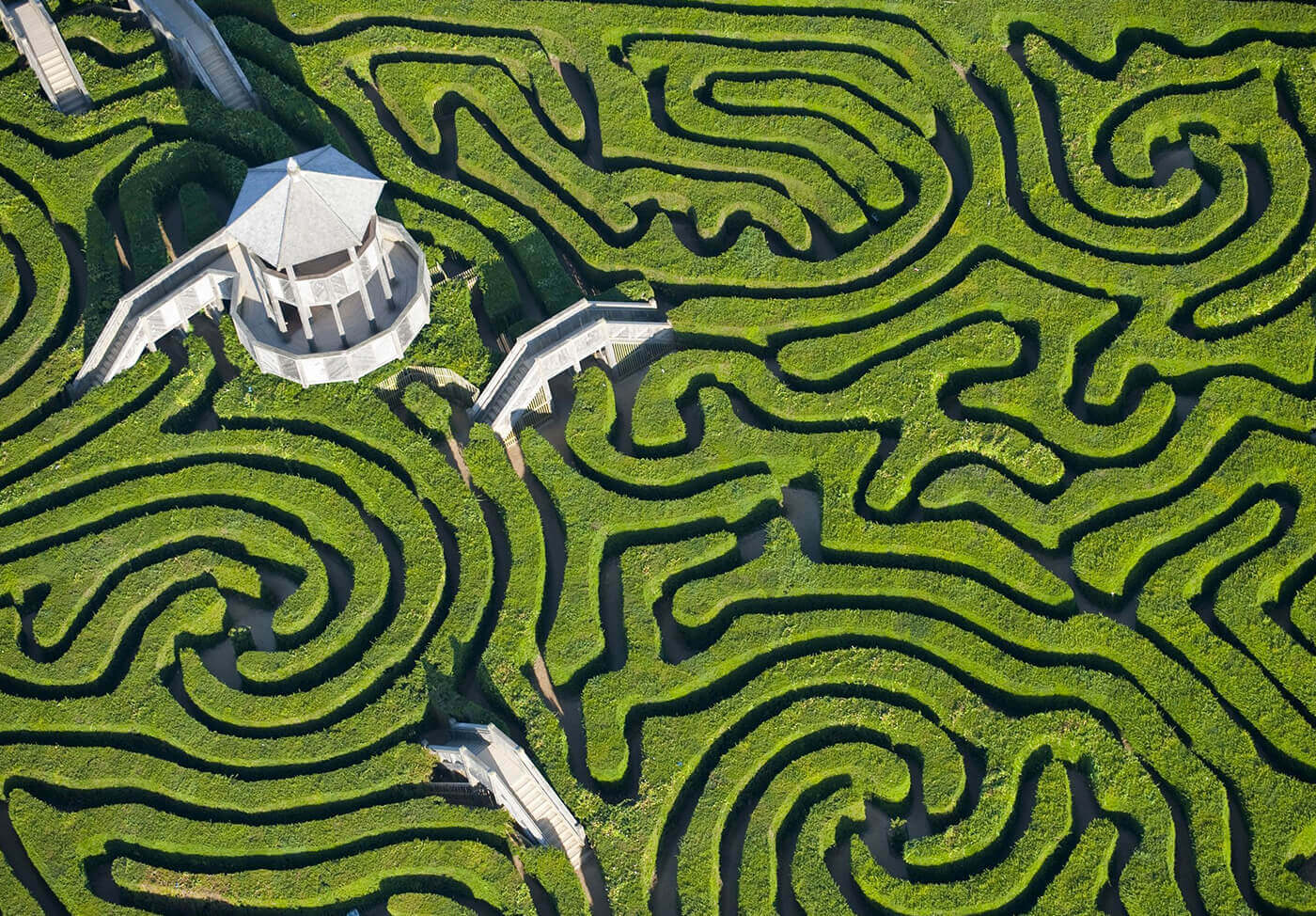 Longleat-Hedge-Maze-Wiltshire-1-1