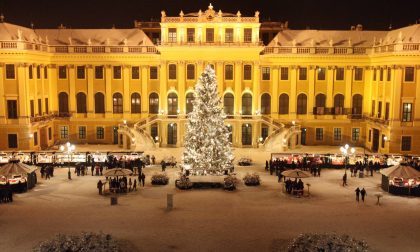 Posti fantastici e dove trovarli Sacher, regalità e bellezza: è Vienna