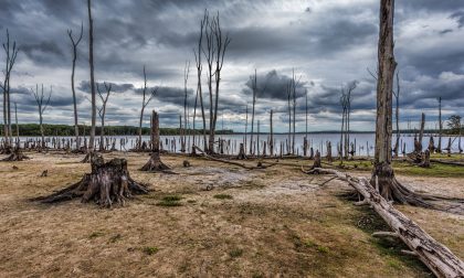 Perché politici e media non parlano del cambiamento climatico in corso