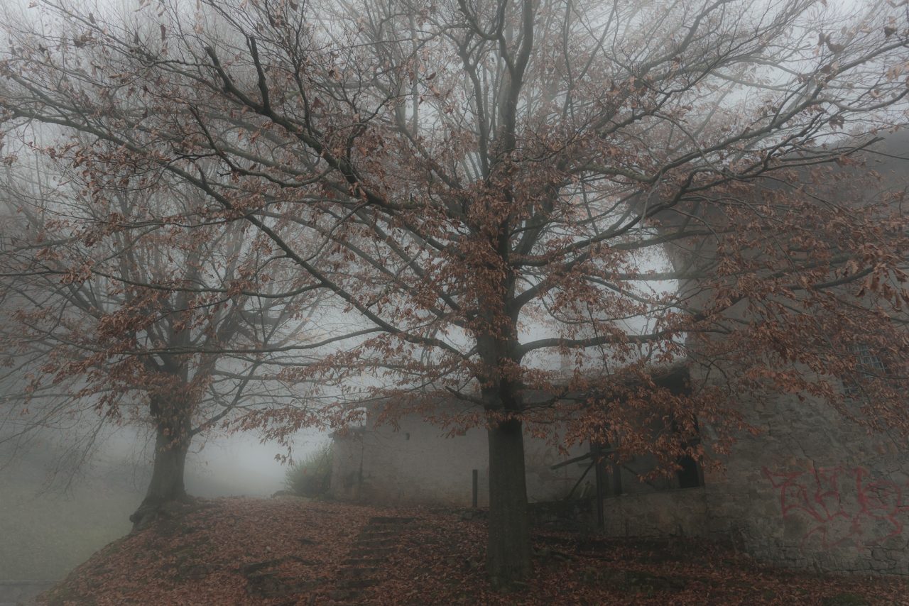 Il fascino misterioso della nebbia – Igor Gherardi