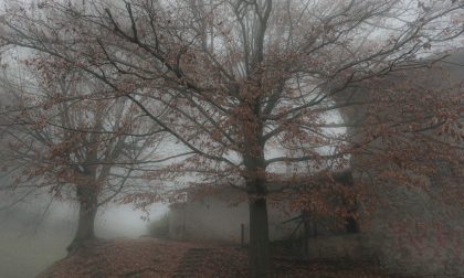 Il fascino misterioso della nebbia - Igor Gherardi